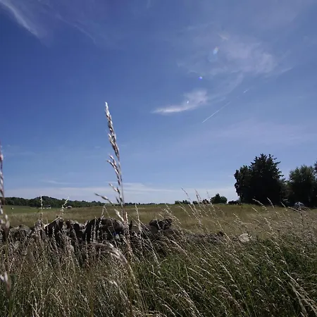 Viel Und Idyllische Umgebung - Honigtopf Bernstein *