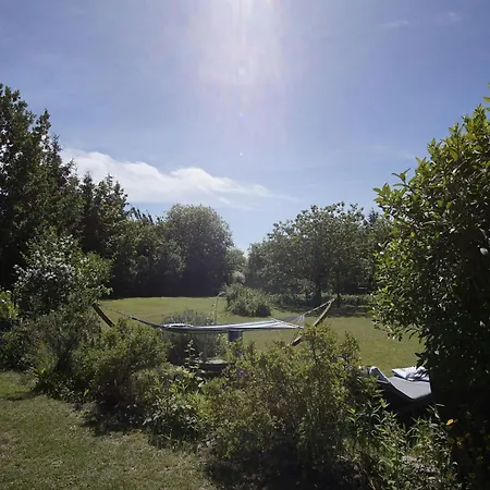 Viel Und Idyllische Umgebung - Honigtopf Bernstein Appartement *